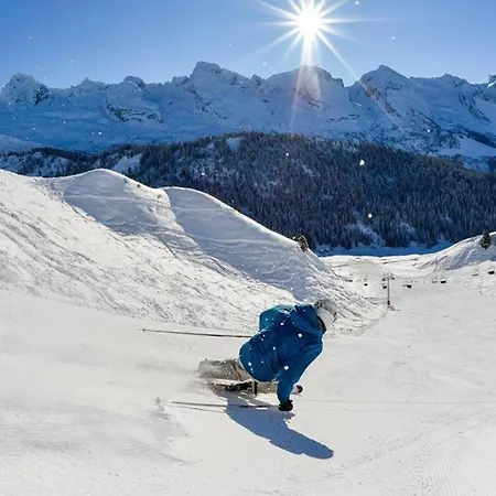 Lyoba Apartament Le Grand-Bornand